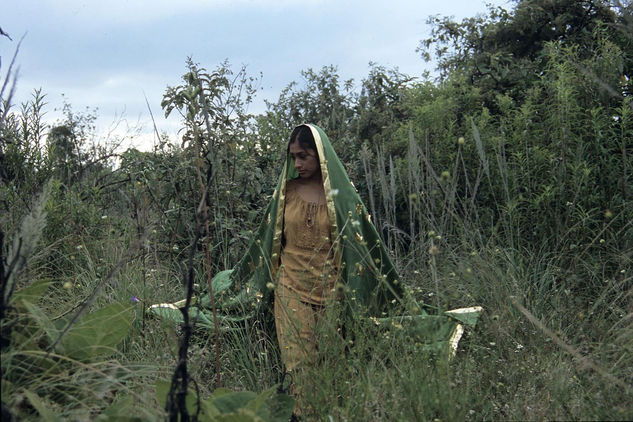 Virgen de Guadalupe 