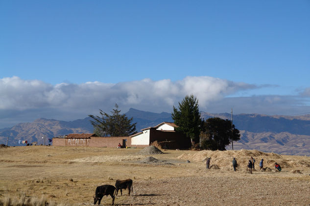 AGRICULTORES DEL PUEBLO DE CHINCHEROS  ( Cusco - peru ) 