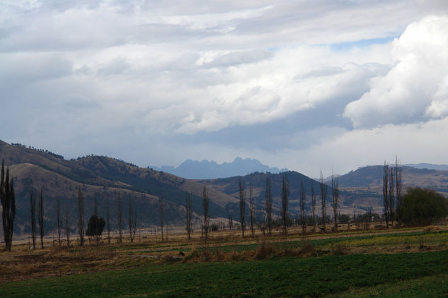 PAISAJE - Pampa de Anta ( CUSCO - PERU ) 