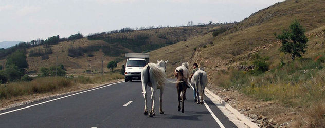 caballeria