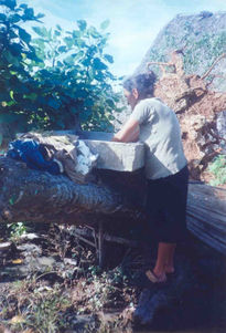 Campesina a la batea