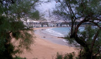 Playa del sardinero