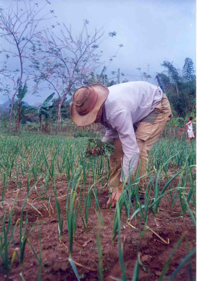 Campesino Photojournalism and Documentary Color (Manual)