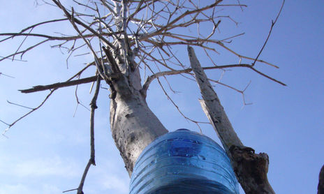 Naturaleza