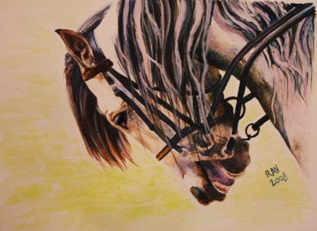 Watercolour 1 Acuarela Papel Animales