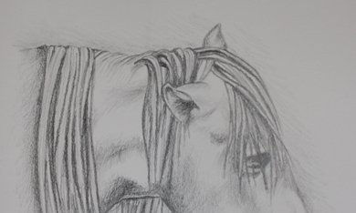 Caballos