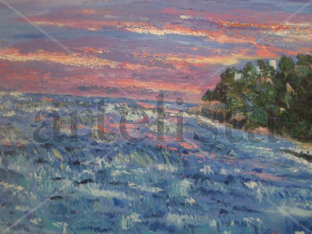 sa riera  baix emporda Oil Canvas Marine Painting