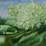 MONTAÑAS Y BOSQUES thumbnail 2