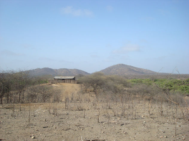 Casa en el bosque seco