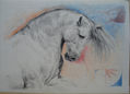 Cabalgando con Durero