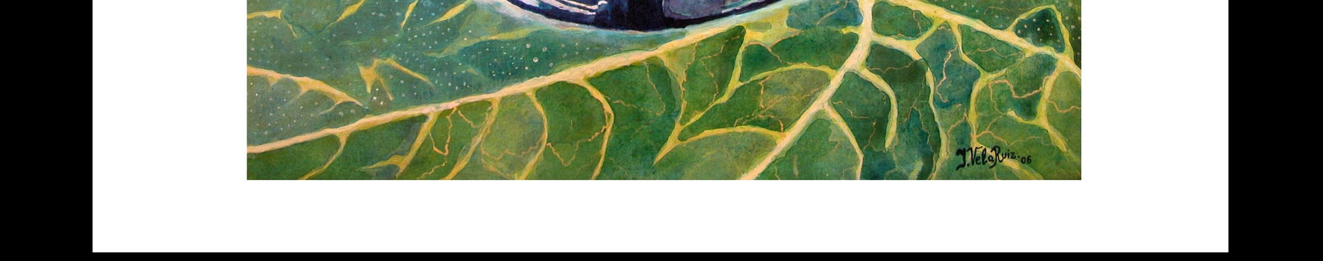 Imagen de portada