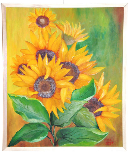 Girasoles