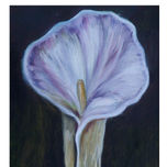 flores thumbnail 2