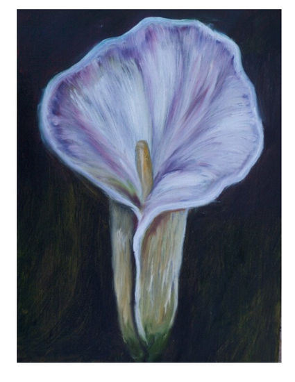 flor4 Oil Canvas Floral Painting