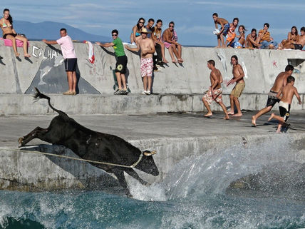 El toro de Calhau