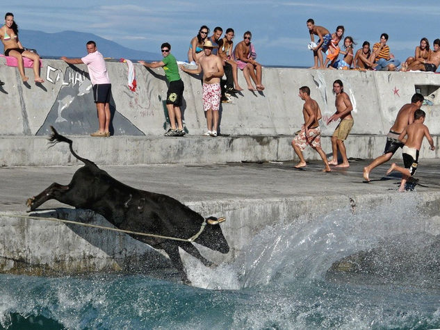 El toro de Calhau 