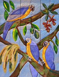 Guacamayas