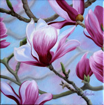 Magnolias