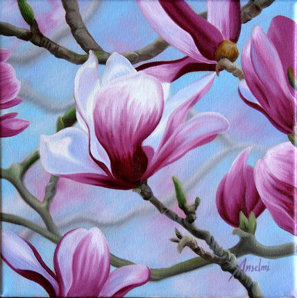 Magnolias