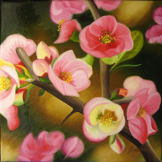 flor de membrillo Oil Canvas Others