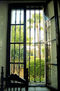 El jardín a traves de la ventana