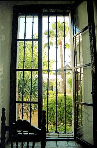 El jardín a traves de la ventana 