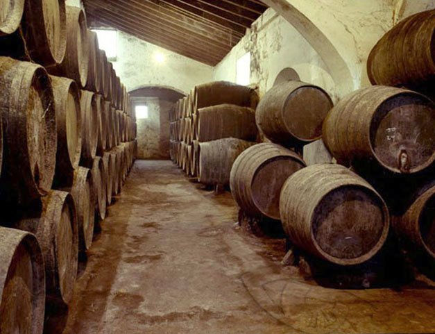 Bodega último tercio del siglo XIX desapareció, no existe ya. 