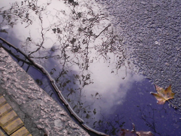 REFLEJOS TRAS LA LLUVIA 