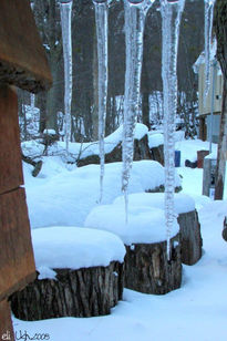 Nieve y Madera