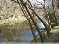 Naturaleza reflejada