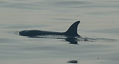 Paso de Orcas