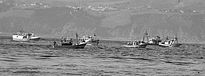 Paso de Orcas