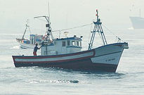 Paso de Orcas