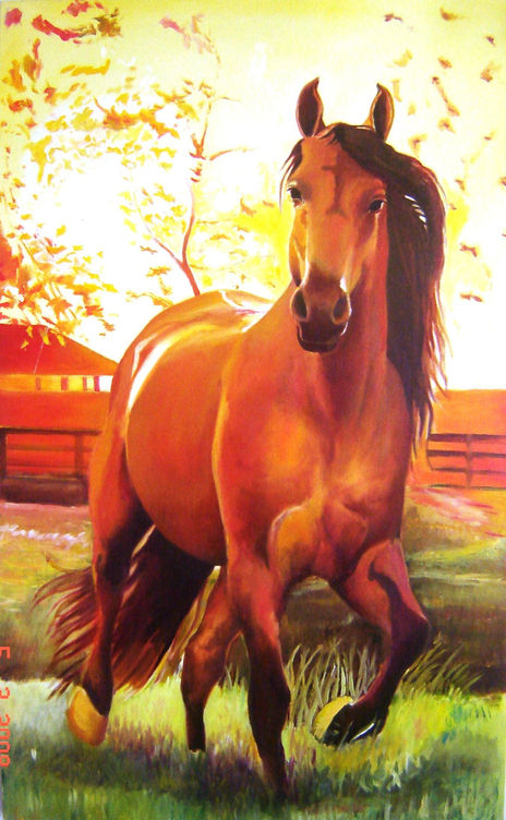 Cavalo