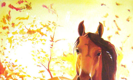 HORSES - CABALLOS - CAVALOS