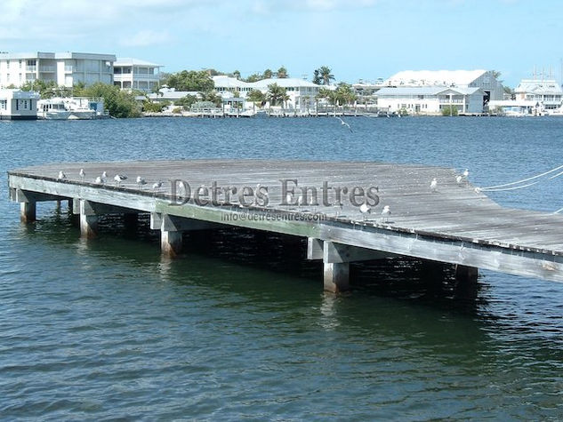 Aves en el muelle Architecture and Interiorism Black and White (Digital)