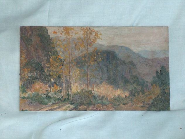 PAISAJE MONTAÑA