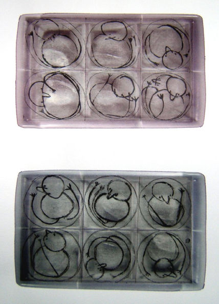 Huevos frescos
