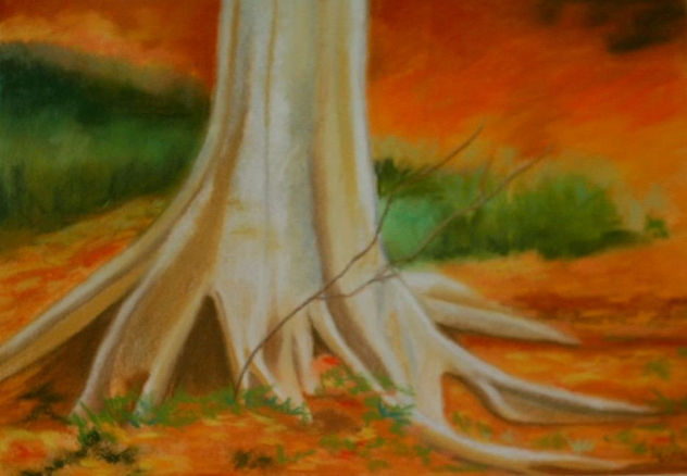 ARBOL RAIZ
