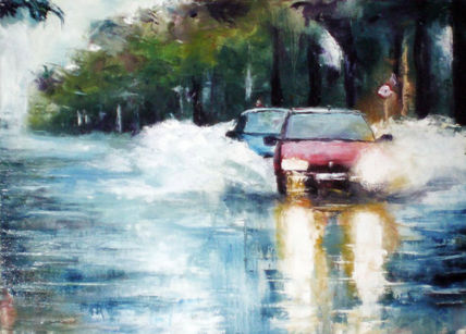 Coches lluvia 37
