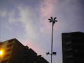 ATARDECER DE UN DIA DE OTOÑO