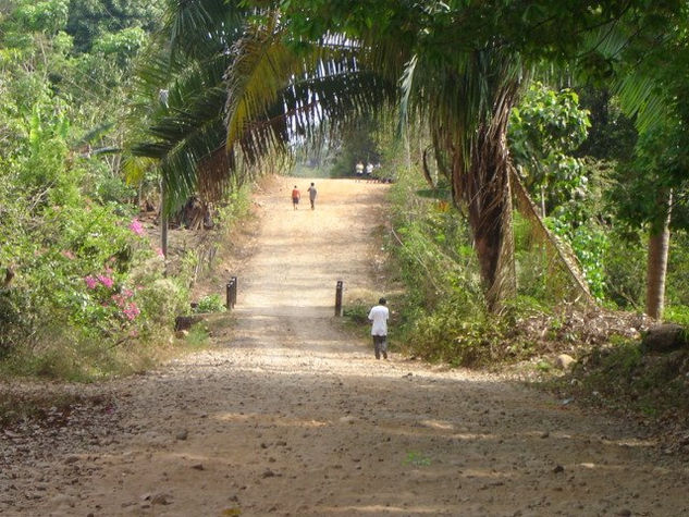 los caminos de la vida 