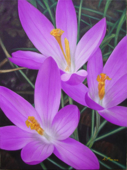 flores lilas Óleo Lienzo Paisaje