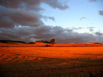 Camino de Santiago II