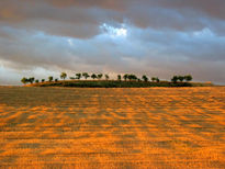 Camino de Santiago III