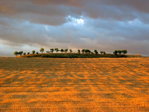 Camino de Santiago III 