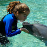 Animales thumbnail 1