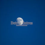 Cielo thumbnail 2