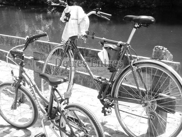 Bicicletas Arquitectura e interiorismo Blanco y Negro (Digital)