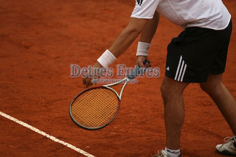 Tenis